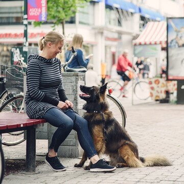 Päivi Saarilahti,  7. - 8.9.2024 Yksityisohjaukset