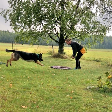 Tapahtumat, luennot ja seminaarit