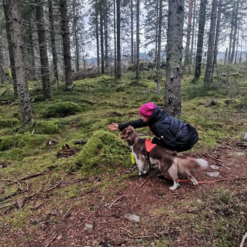 Henkilöetsinnän rullailmaisu ja esine-etsinnän palautus