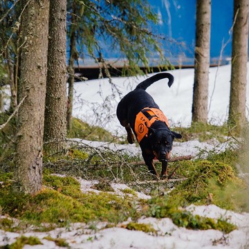 Henkilöetsintä