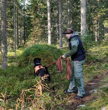 Jäljestäminen