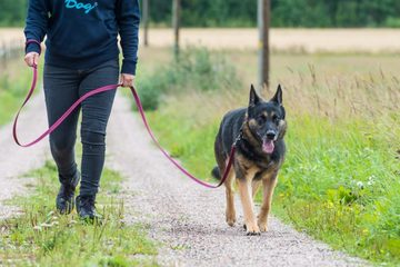 Tyytyväinen lenkkikaveri - Hihnakävely vuoropuheluksi